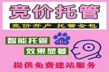 搜索开户返点案例解析：轻松赚取收益